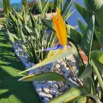 Villa Con Piscina Privada - Benimarraig