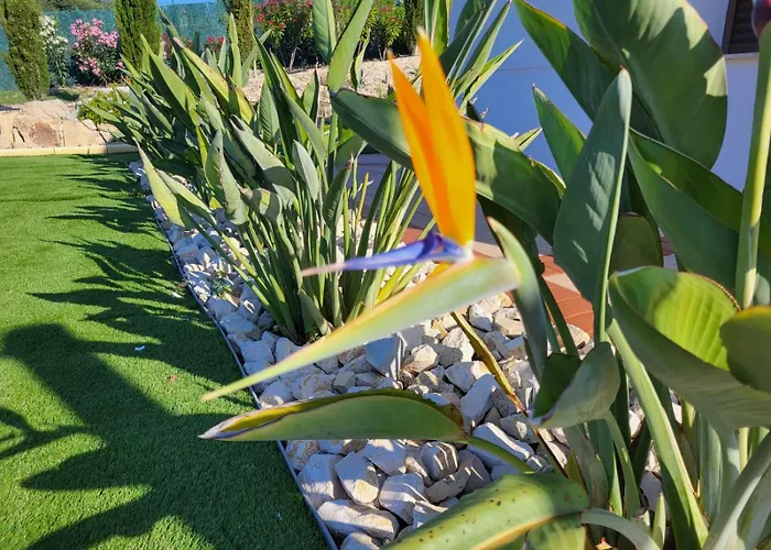 Villa Con Piscina Privada - Benimarraig